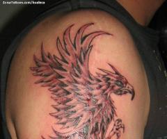 Phoenix tattoos for men and women