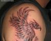 ave fenix
