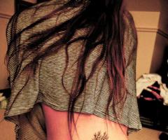 ARBOL