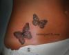 mariposas