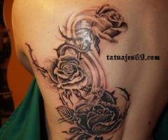flores