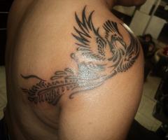 Phoenix tattoos for men and women