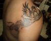 Ave fenix tattoo mike gonzalez