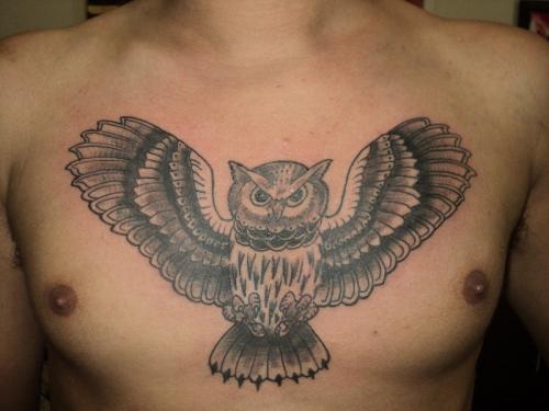 Owl old school