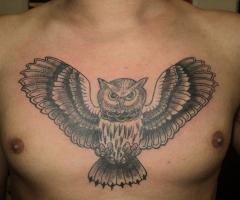 Owl old school