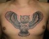Owl old school