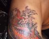 koi fish(cover up)