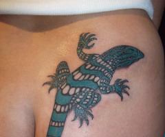 lizard