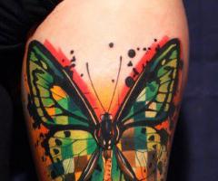 mariposa con textura color verde