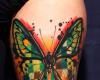 mariposa con textura color verde