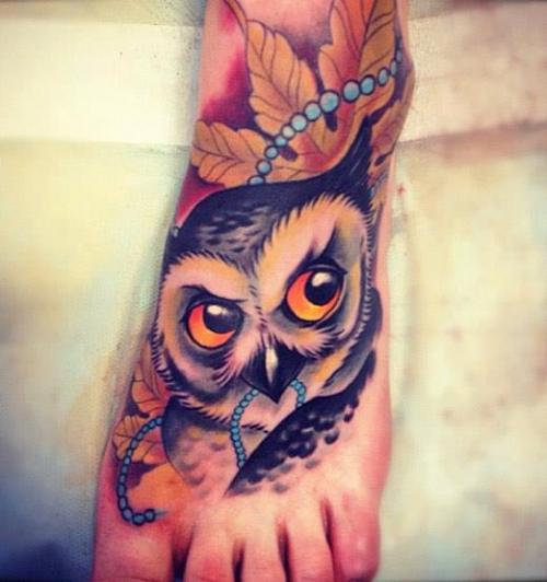 Owl picture