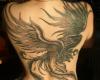 Tattoo de ave fenix