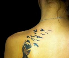 Tatuaje de pajaros desprendiendose de una pluma