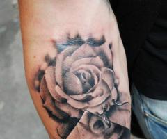 bocca, rosa e perni