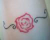 ROSA TRIBAL