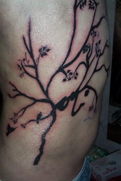 Arbol Bragado Bs As