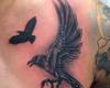 Birds flying