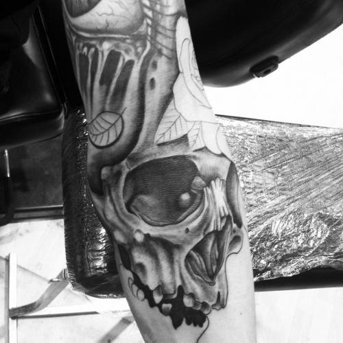 Skull work in progress