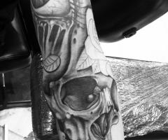 Skull work in progress