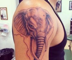 Tatuaje de elefante