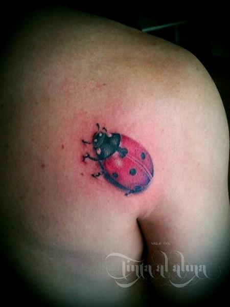 Ladybug 