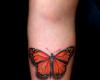 mariposa