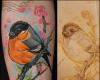 Dibujo y boceto de pajaro