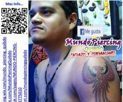 Ave Fenix Tribal en en Brazo