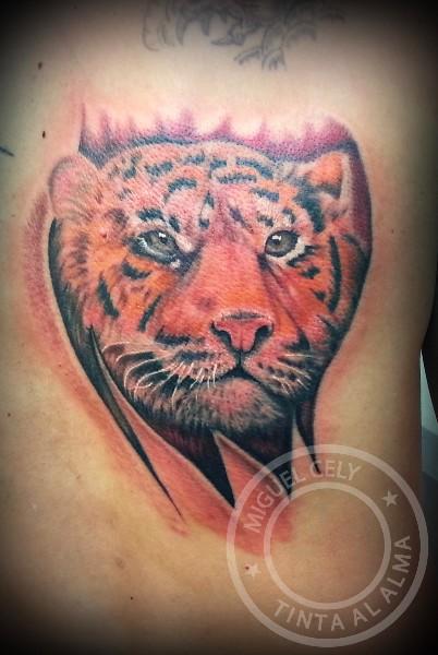 Tiger por Miguel Cely