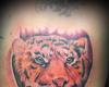 Tiger por Miguel Cely