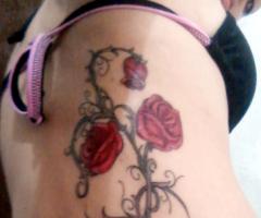 two tattoo roses