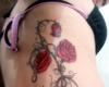 two tattoo roses