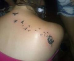Flor de panadero y aves