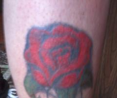 La Rosa de mi mujer