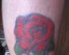 La Rosa de mi mujer