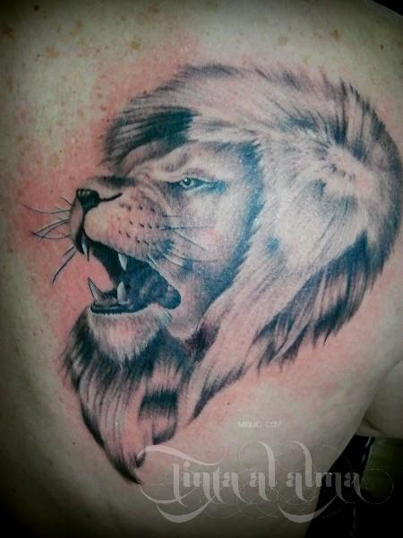 Lion por Miguel Cely