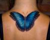 mariposa