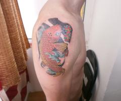 Tatuaje Brasov koi tattoo