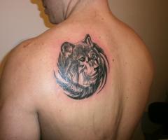 Tatuaje Brasov  wolf tattoo