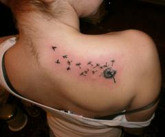 Tatuaje Brasov dandelion