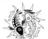 quo fish ying yang sketches