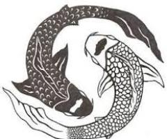 quo fish ying yang