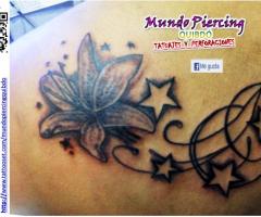 Flor + Estrellas1