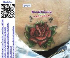 Rosa 