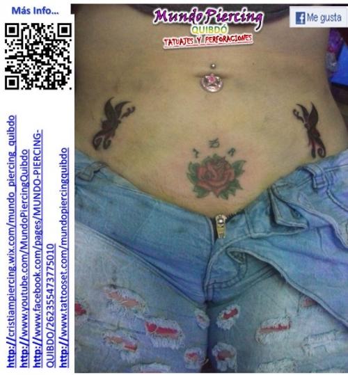 Rosa + Maripositas
