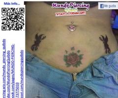 Rosa + Maripositas