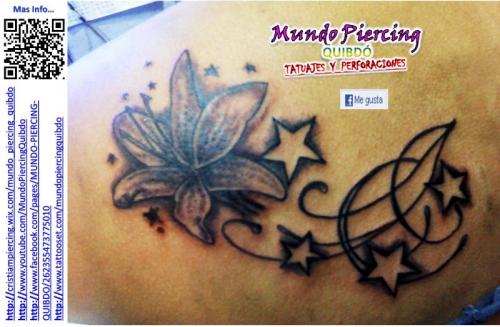 Flor + Estrellas2