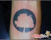 arvore tatuagem wkrtattoo