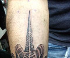 Tatuaje de cabra