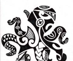 Polvo maori